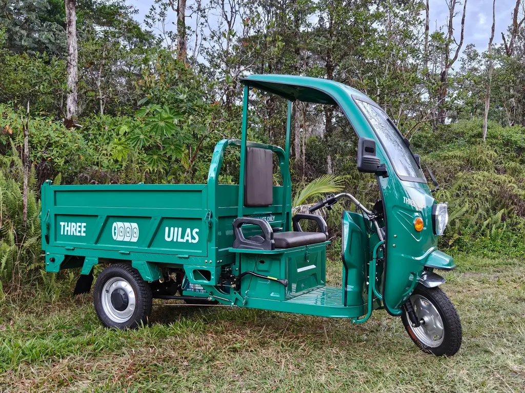 Three Uilas Workhorse, view 9 of 11